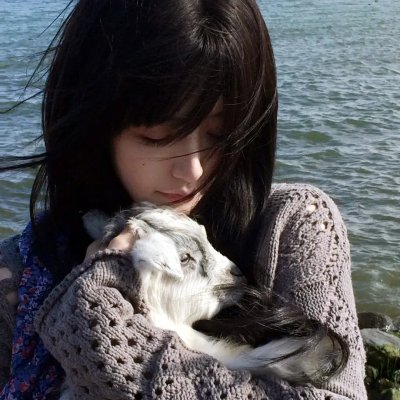 雅各布教士历险记 海报