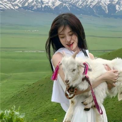 关键协议 海报